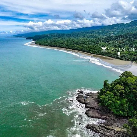 Beachfront Jungle Luxury! 3Bd Penthouse Uvita Extérieur photo