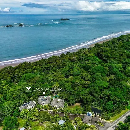 Beachfront Jungle Luxury! 3Bd Penthouse Uvita Extérieur photo