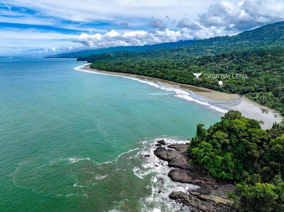 Beachfront Jungle Luxury! 3bd Penthouse * Uvita