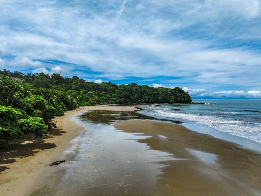 Apartment Beachfront Jungle Luxury! 3bd Penthouse *