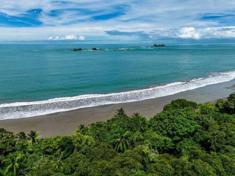 Apartment Beachfront Jungle Luxury! 3bd Penthouse