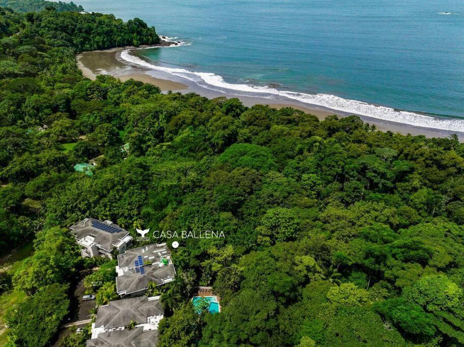 Beachfront Jungle Luxury! 3bd Penthouse * Uvita